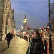 diplomata ad un liceo scientifico, studentessa di business che ha studiato in Inghilterra offro ripetizioni di inglese